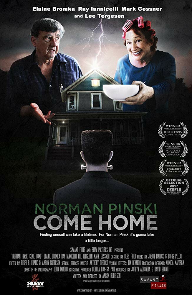 Norman Pinski Come Home (2017)
