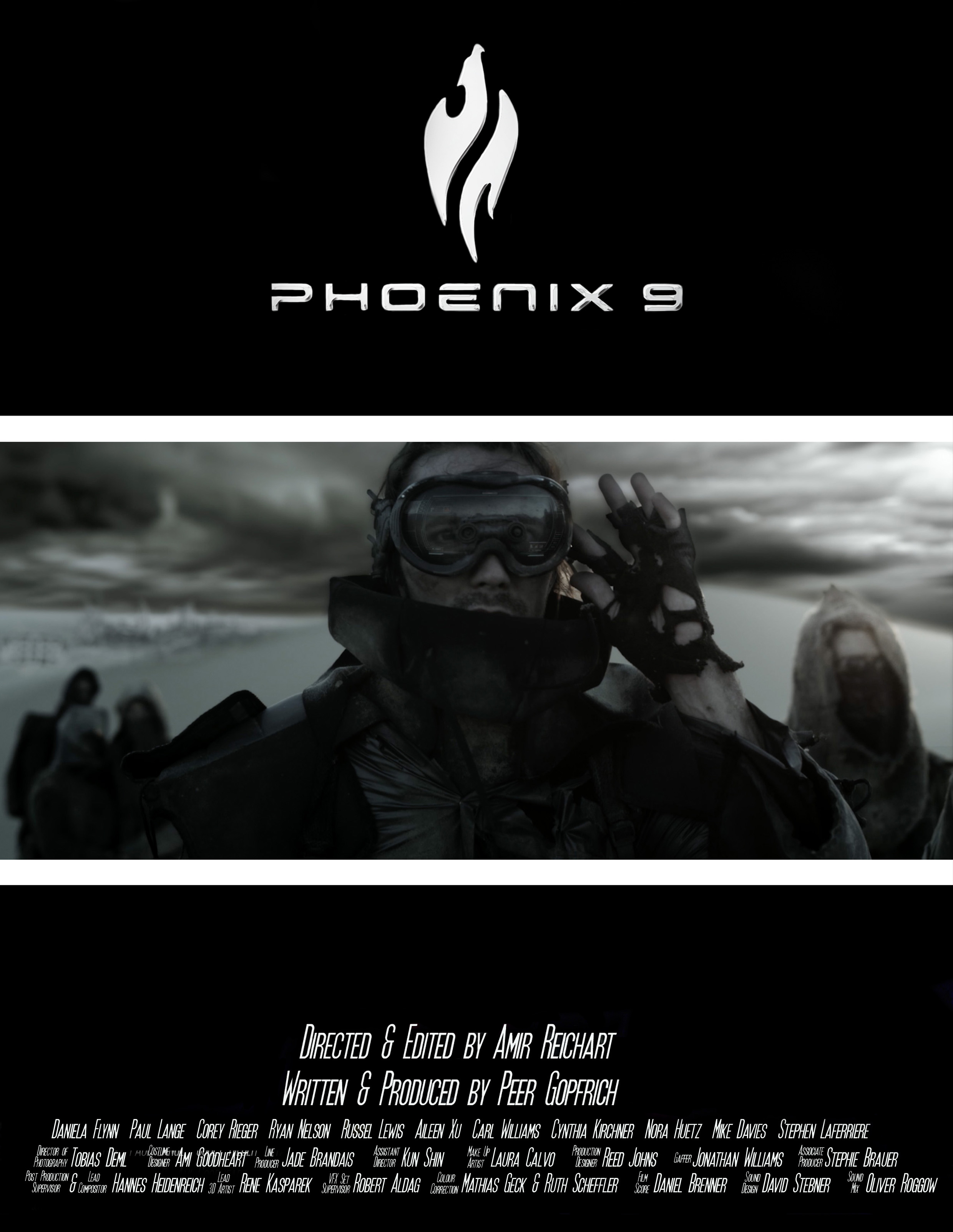 Феникс 9 (2014)